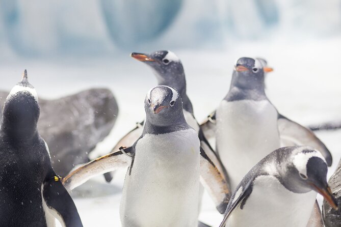 SEA LIFE Konstanz Admission Ticket - From Lake Constance to Antarctic ice