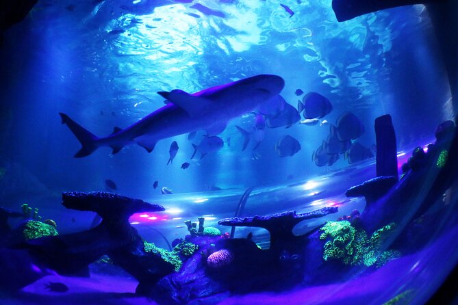 SEA LIFE Konstanz Admission Ticket - Where expectations can go wrong