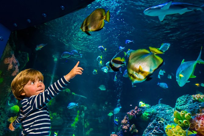 SEA LIFE Konstanz Admission Ticket - How long the visit really takes