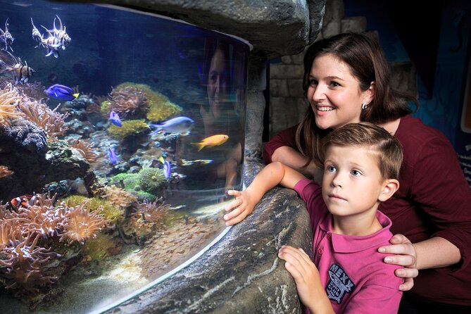 SEA LIFE Timmendorfer Strand Admission Ticket - How long should you allow?