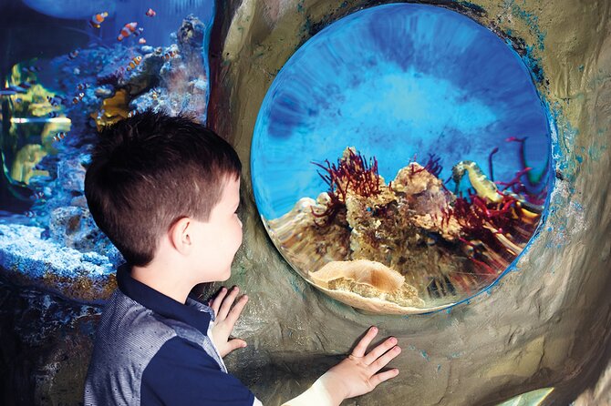 SEA LIFE Timmendorfer Strand Admission Ticket - Timing, queues, and the entrance details that matter