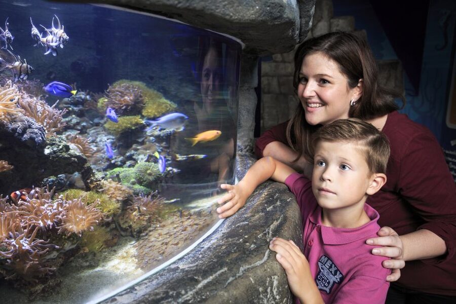 SEA LIFE Timmendorfer Strand Ticket - Getting there from Lübeck or by car
