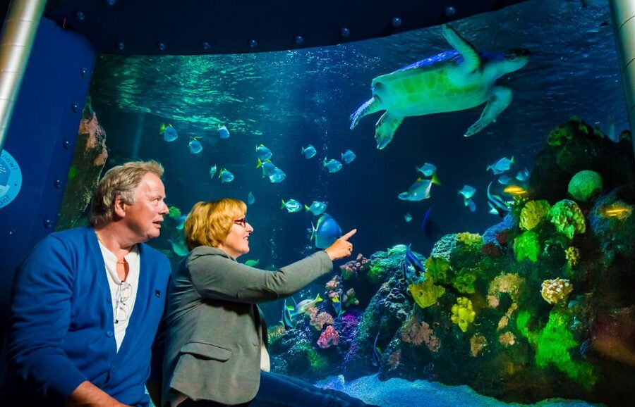 SEA LIFE Timmendorfer Strand Ticket - Rainforest plants and the large boa constrictor