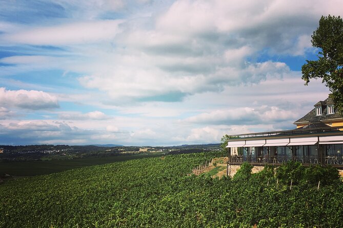 Small Group Rheingau Vineyards Tour with Castles and Abbeys - Kloster Eberbach and the roots of Riesling