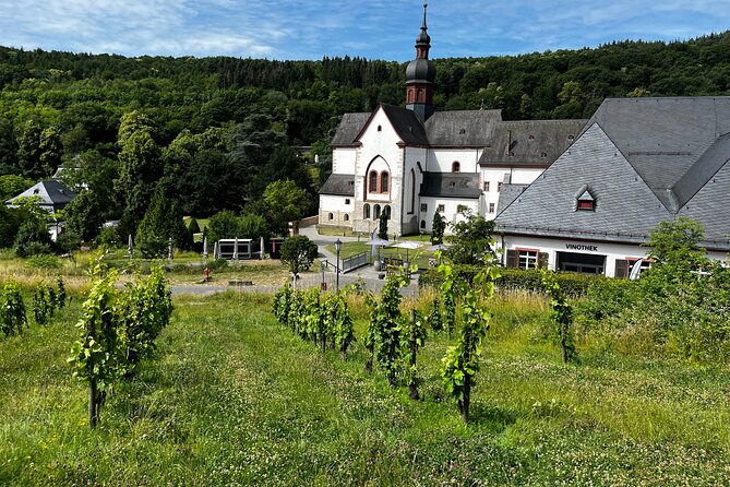 Small Group Rheingau Vineyards Tour with Castles and Abbeys - A family estate for the final tasting