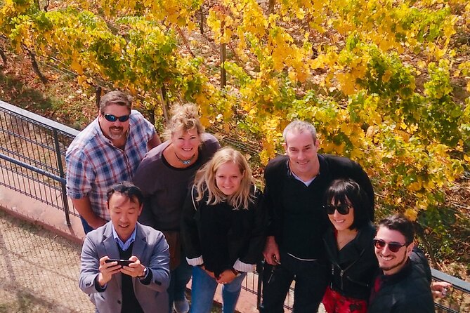 Small Group Rheingau Vineyards Tour with Castles and Abbeys - Is $199.55 a fair price?