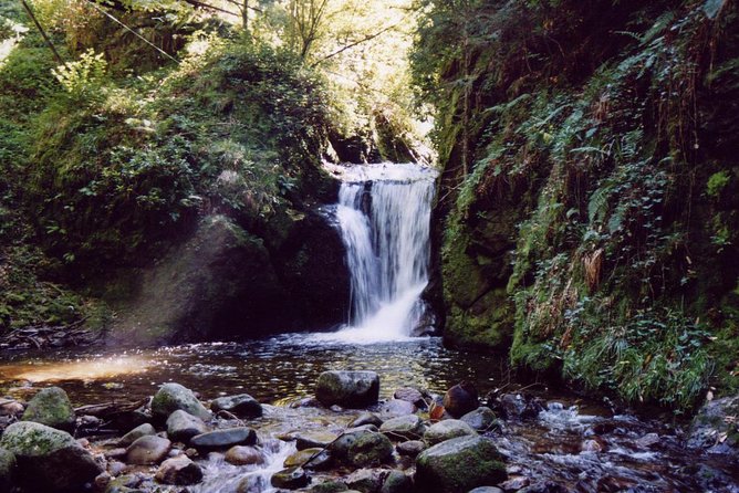 The best in Baden-Baden surroundings and Black Forest. Start from Baden-Baden - What the $903.59 group price really buys