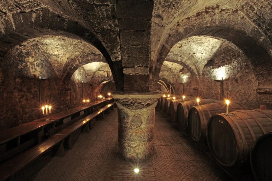 Trier: Discovery Tour – Germany's Oldest Wine Cellar - What happens during the one-hour visit
