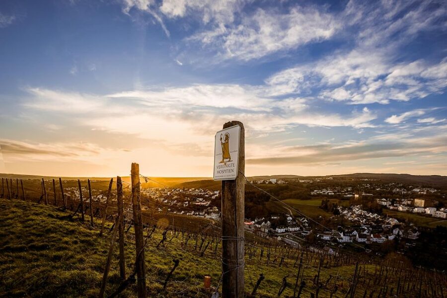 Trier: Discovery Tour – Germany's Oldest Wine Cellar - The wine tasting: two selected house wines