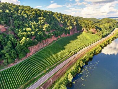 Discovery Tour – Germany’s Oldest Wine Cellar