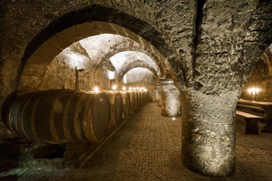 Trier: Discovery Tour – Germany's Oldest Wine Cellar - Price and the value of a short visit