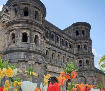 Guided City Walk with Wine Tasting